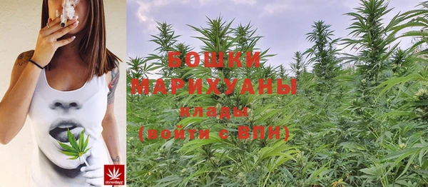 амф Бугульма