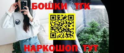 шишки Можга