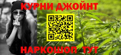 шишки Можга