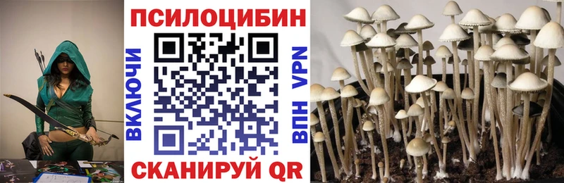 Псилоцибиновые грибы Cubensis  наркошоп  mega ССЫЛКА  Железногорск 