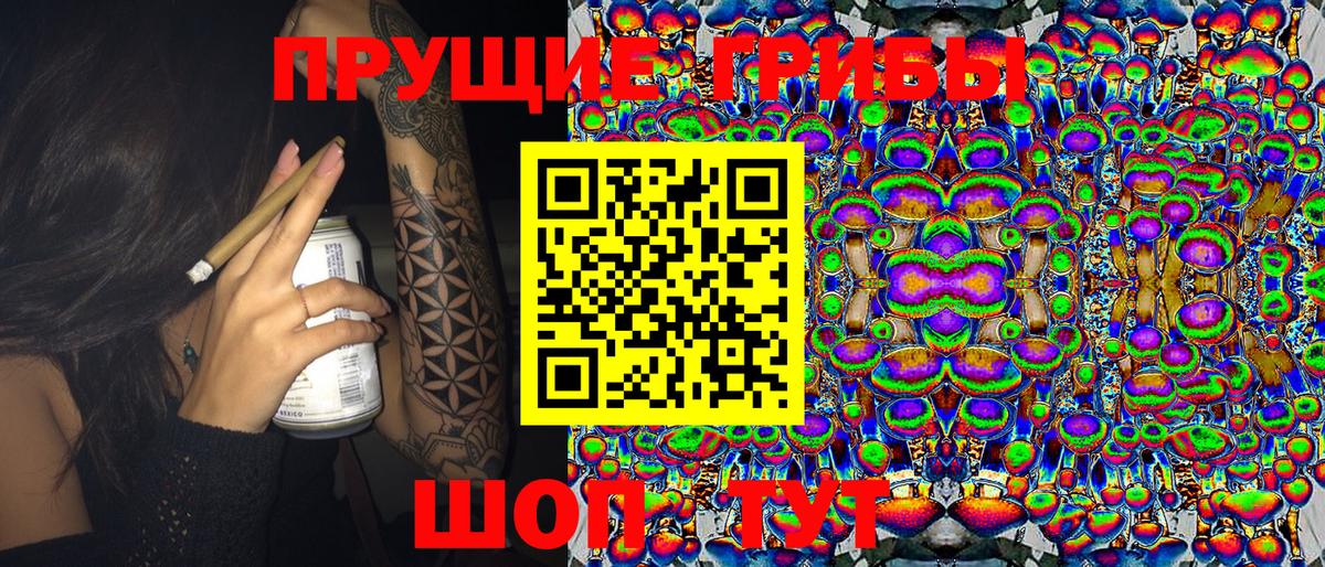 Псилоцибиновые грибы прущие грибы  Вход с VPN  Галлюциногенные грибы Cubensis  Железногорск 